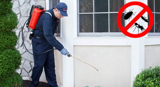 Alacakaya Hamam Böceği İlaçlama böcek ilaçlama ve haşere kontrolü — ilaclama-tr.com
